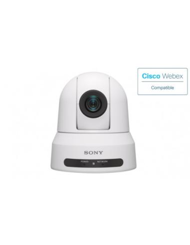 Sony SRG-A40WC cámara de videoconferencia