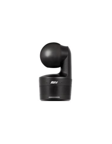 AVer DL10 2 MP Negro 1920 x 1080 Pixeles 60 pps CMOS 25,4 / 2,8 mm (1 / 2.8")