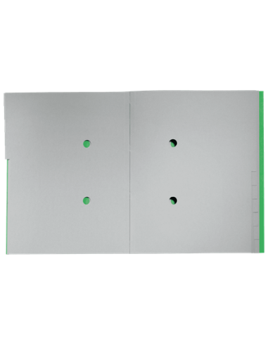 CARPETA CLASIFICADORA DE CARTON 12 POSICIONES A4 RECYCLE 100% VERDE LEITZ 39150055