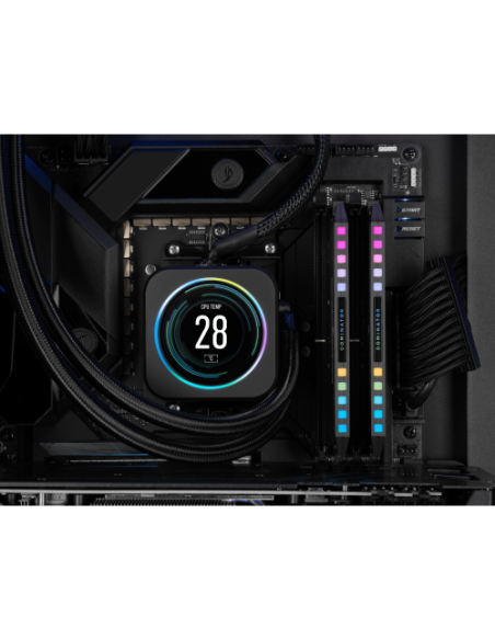 MEMORIA CORSAIR DDR5 32GB 2X16GB PC5600 DOMINATOR PLATINUM RGB CMT32GX5M2B5600Z36