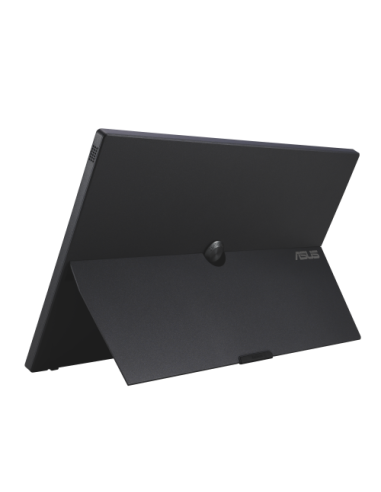 ASUS ZenScreen MB16AWP 39,6 cm (15.6") 1920 x 1080 Pixeles Full HD LED Negro