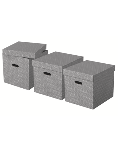 PACK 3 CAJAS GRISES 365X320X315MM ESSELTE 628289
