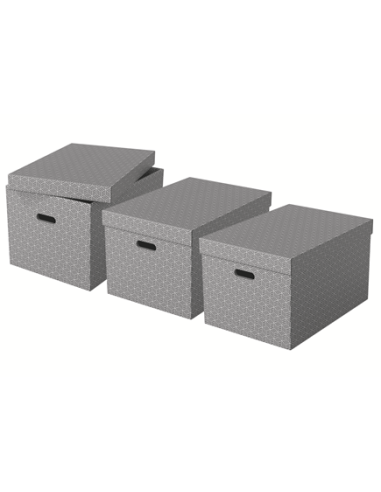 PACK 3 CAJAS GRISES 510X355X305MM ESSELTE 628287