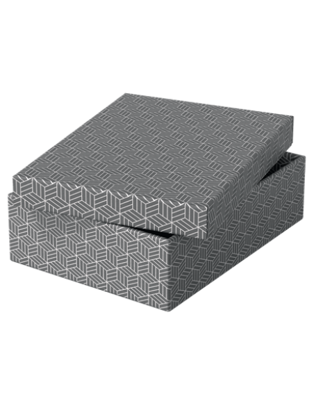PACK 3 CAJAS GRISES 360X265X100MM ESSELTE 628285