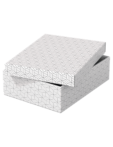 PACK 3 CAJAS BLANCAS 360X265X100MM ESSELTE 628284