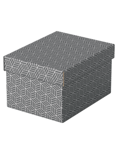 PACK 3 CAJAS GRISES 255X200X150MM ESSELTE 628281