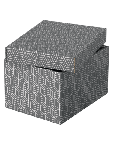 PACK 3 CAJAS GRISES 255X200X150MM ESSELTE 628281