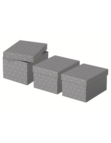 PACK 3 CAJAS GRISES 255X200X150MM ESSELTE 628281