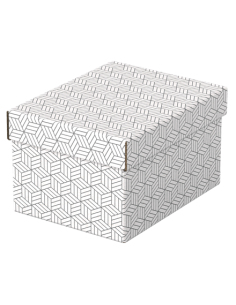PACK 3 CAJAS BLANCAS 255X200X150MM ESSELTE 628280