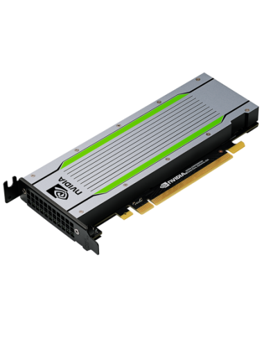PNY TCST4MATX-PB tarjeta gráfica NVIDIA Tesla T4 16 GB GDDR6