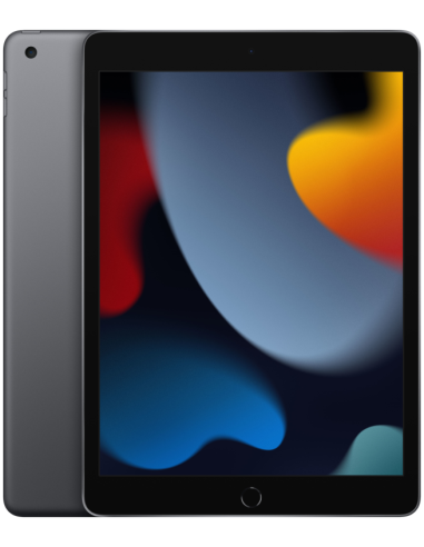 IPAD WI-FI 64GB SPG