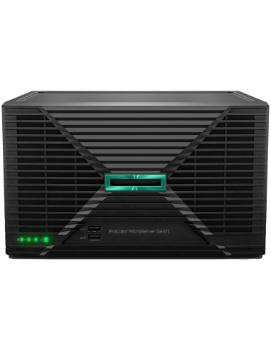 HPE SERVIDORES P75207-425 G11 E-2434 32G