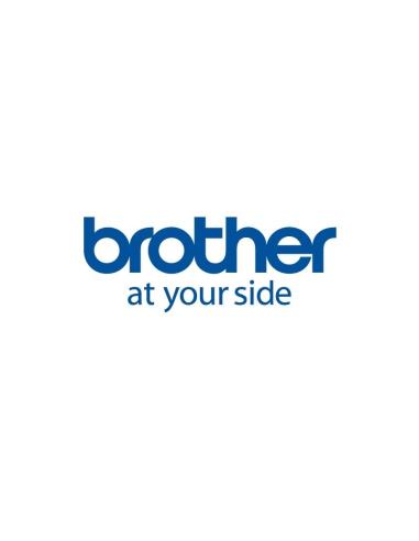 Brother papel 12 rollos 50x30mm