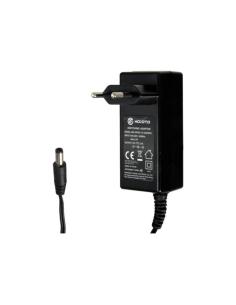 Reyee dc12v2a fuente alimentación