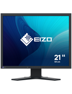 MONITOR EIZO FLEXSCAN 21.3 S2134